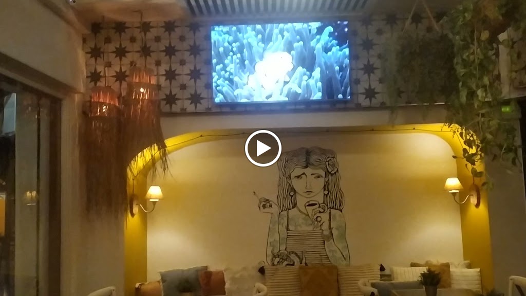 La Menuda - Cocina Rustica — Videos
