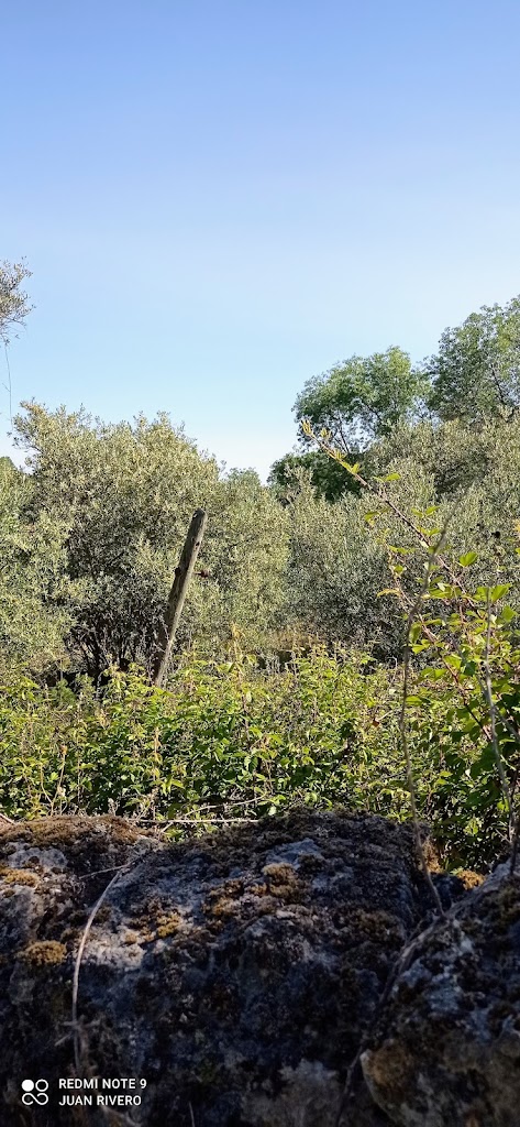 Ruta del Molino de la Negra / Inicio de ruta