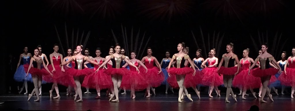  A Performing Arts Academy