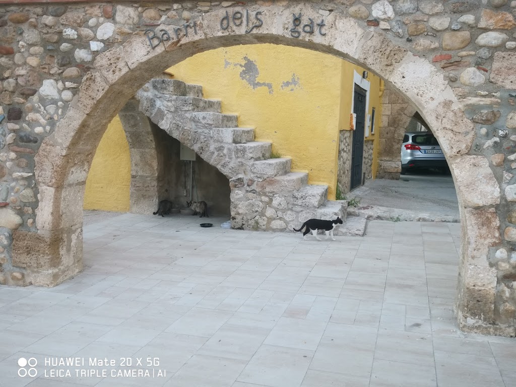 Barri dels Gats