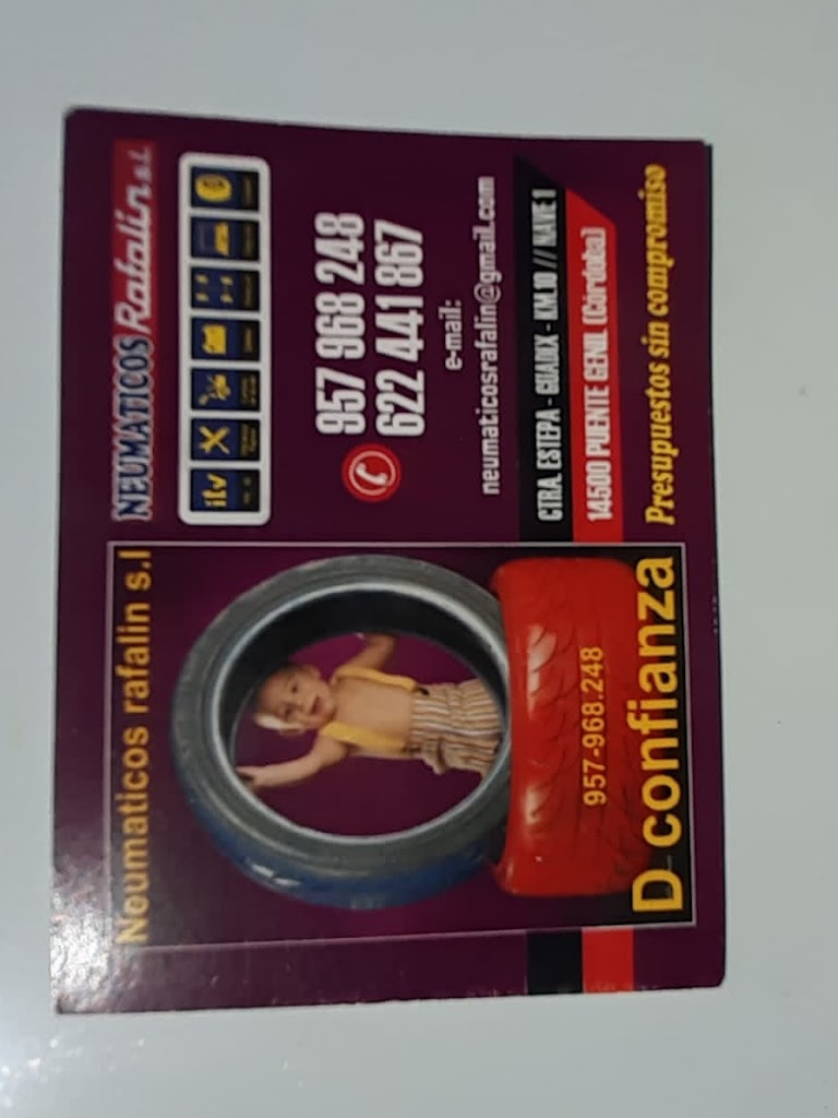 Neumaticos Rafalin S L