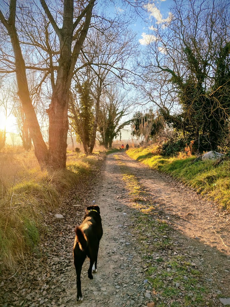 La illa del riu Tordera