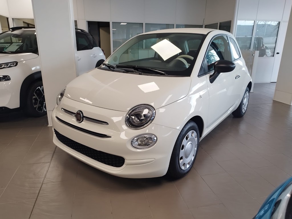 Concesionario Oficial Fiat - Dimoauto — Interior