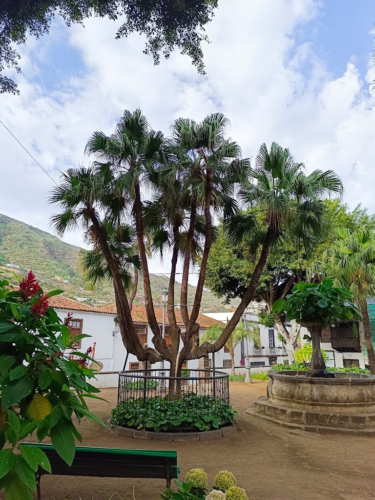 Plaza La Constitucion