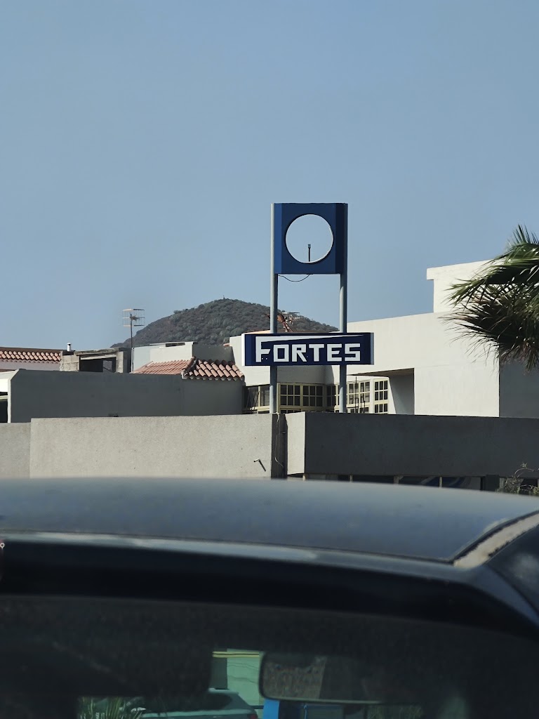 Taller Fortes