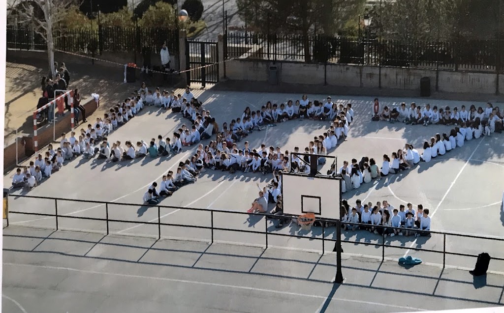 Colegio Publico Laura Garcia Noblejas y Brunet — Del propietario