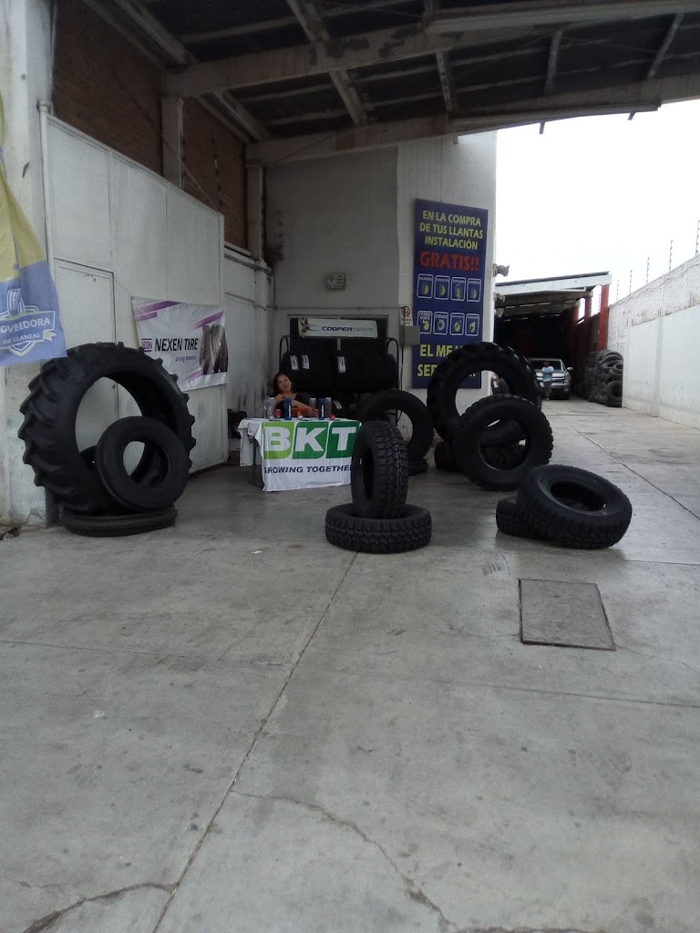 Centro Llantero Yokohama - Llantas Automotrices e Industriales del Guadiana — Taller