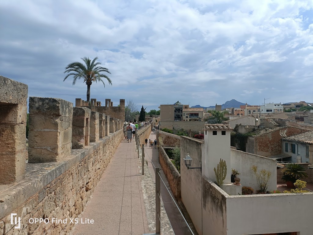 Talaiot de s'Hort d'en Fanals