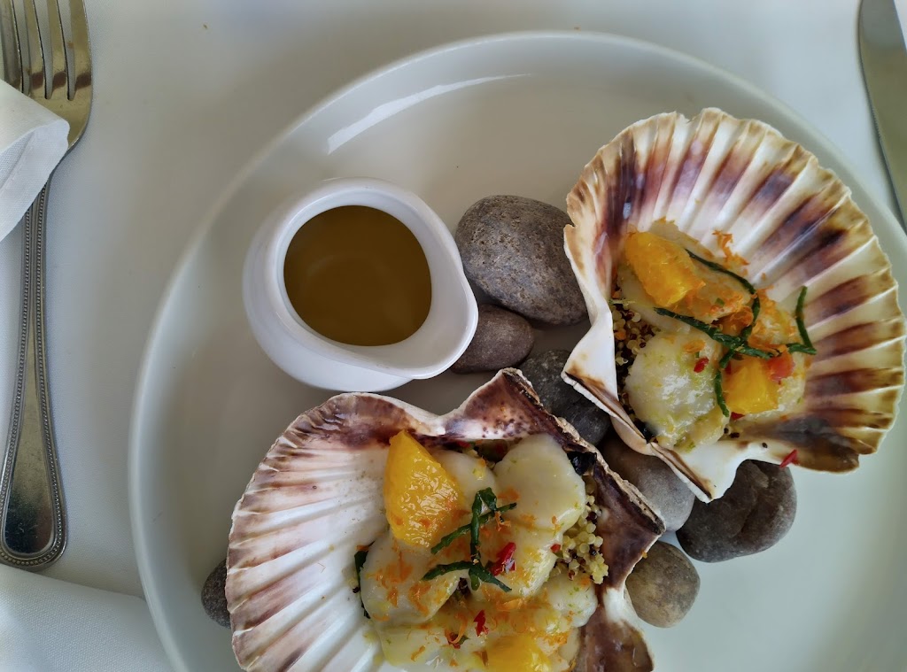 Scallops