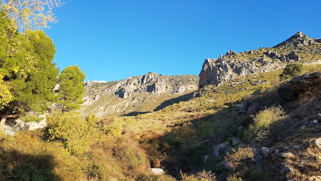 Puente del Rio Garganton