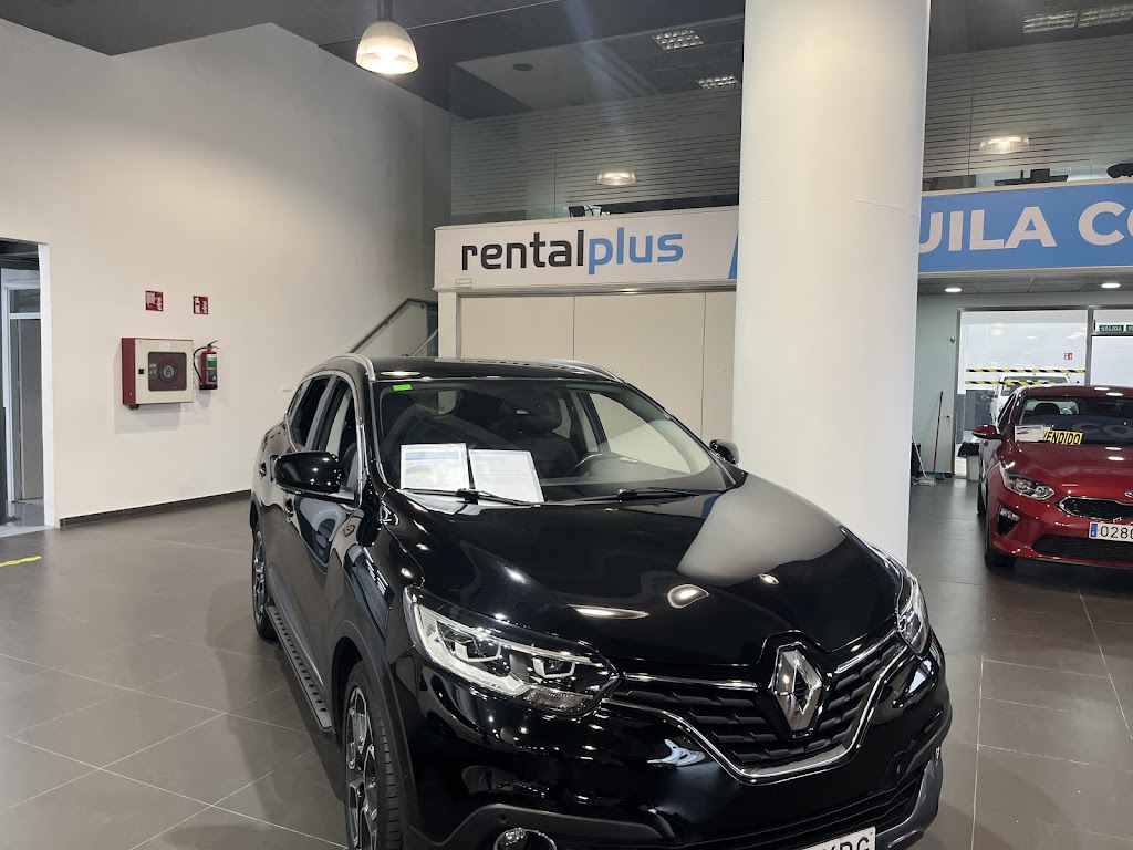 RentalPlus Erandio — Del propietario