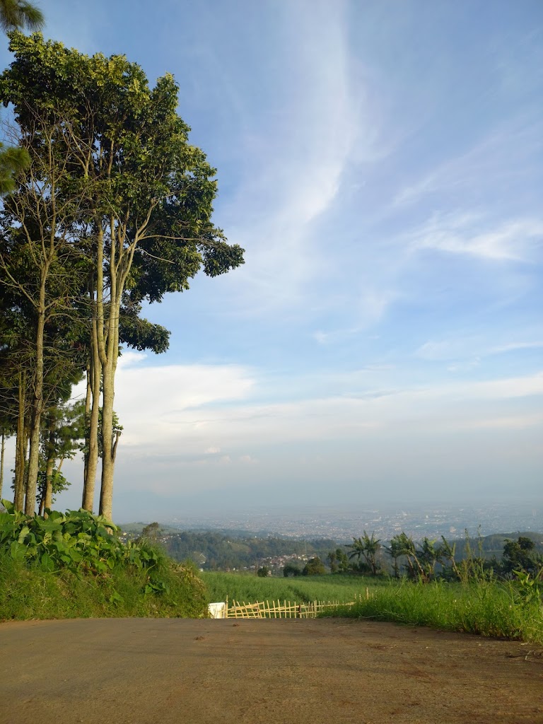 Camping dermaga bintang perhutani