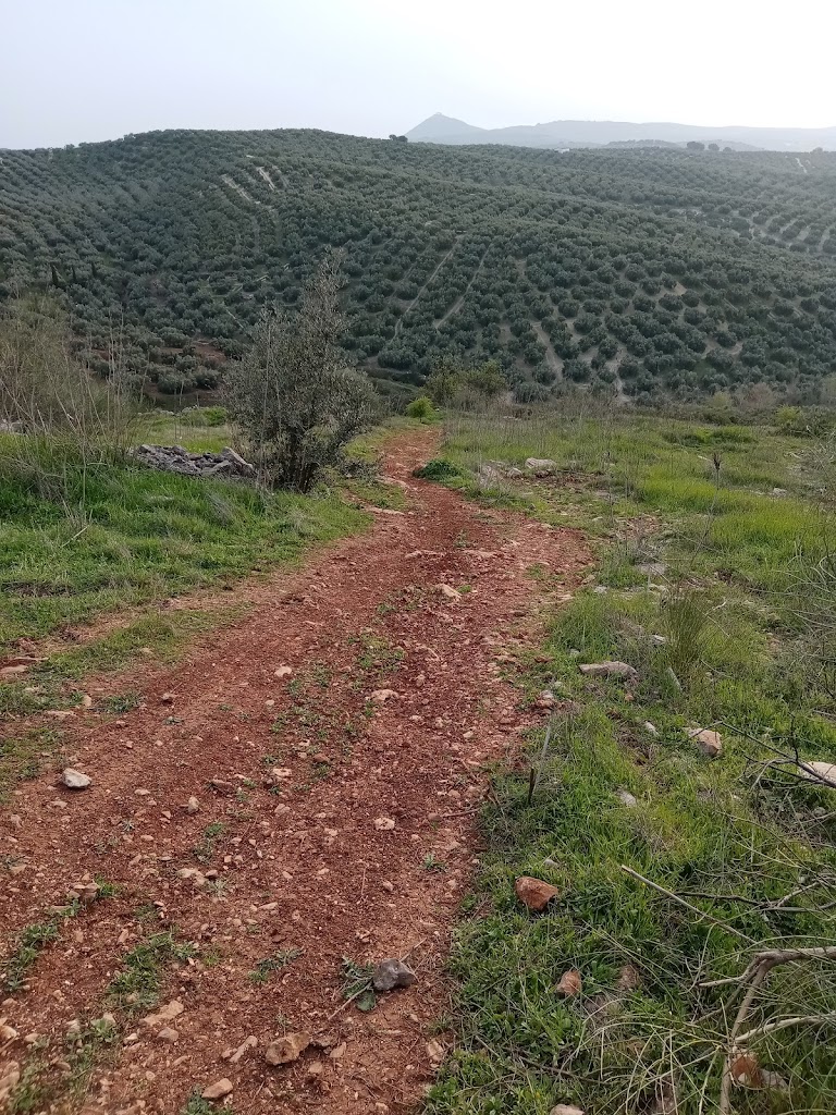Valle de los Fosiles