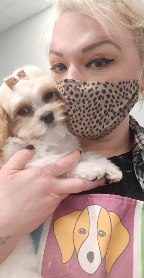Dog