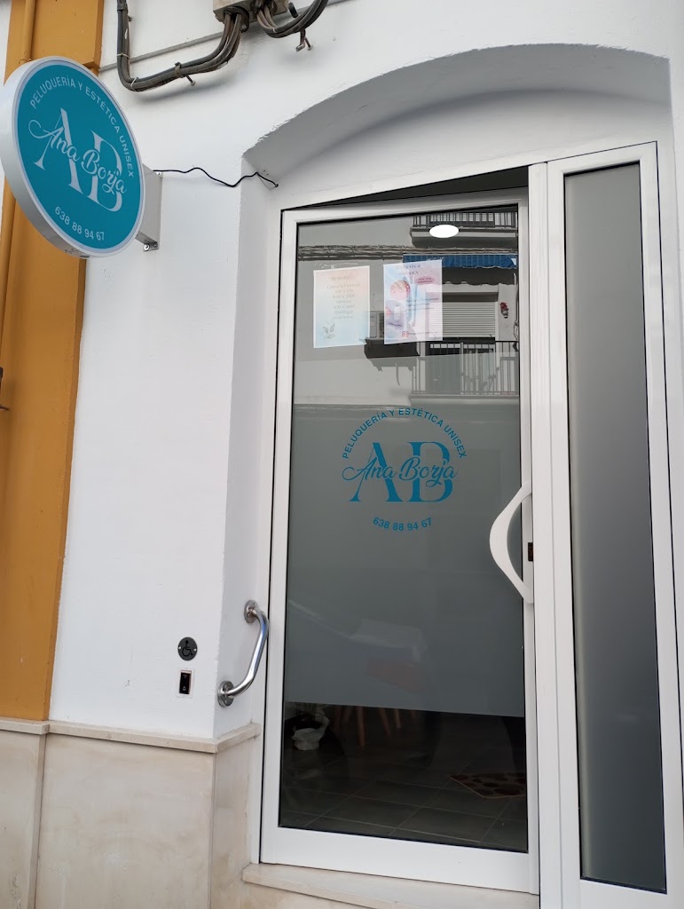 Peluqueria y estetica Ana Borja — Del propietario