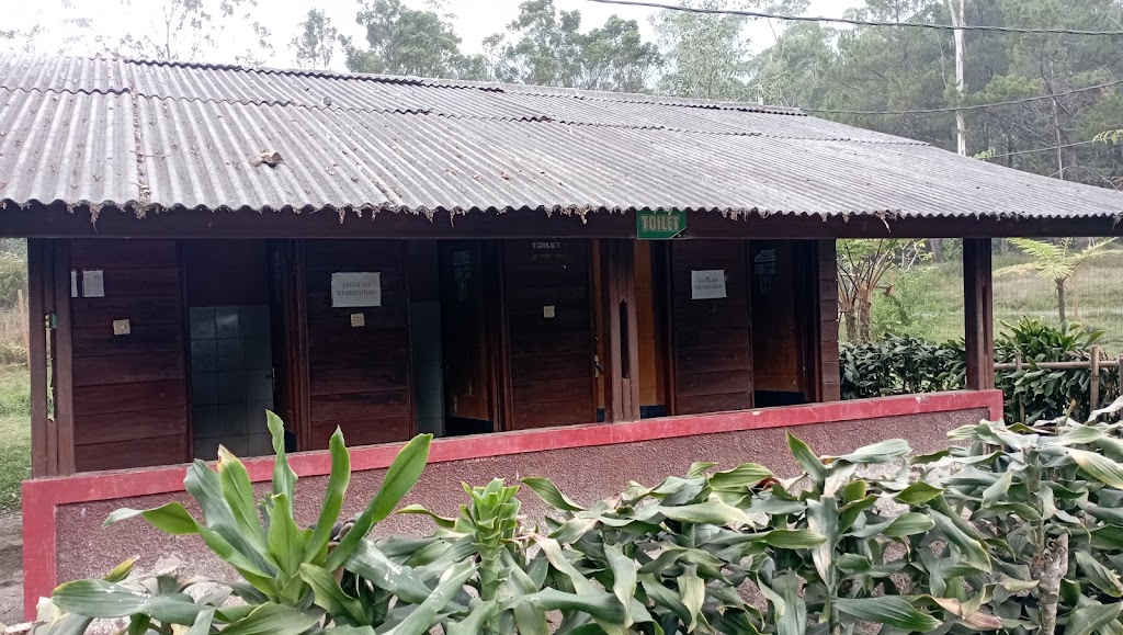 CAMPERVAN AREA RANCAUPAS