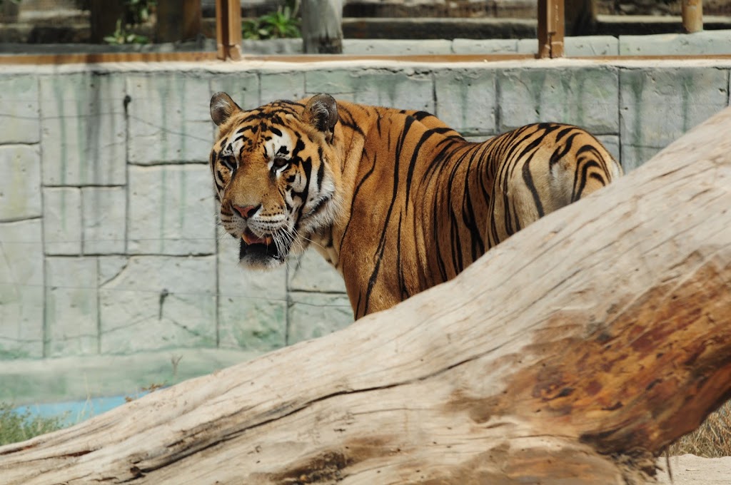 CENTRO DE FORMACION DIGITAL CAMPUS - AFOTARTEC