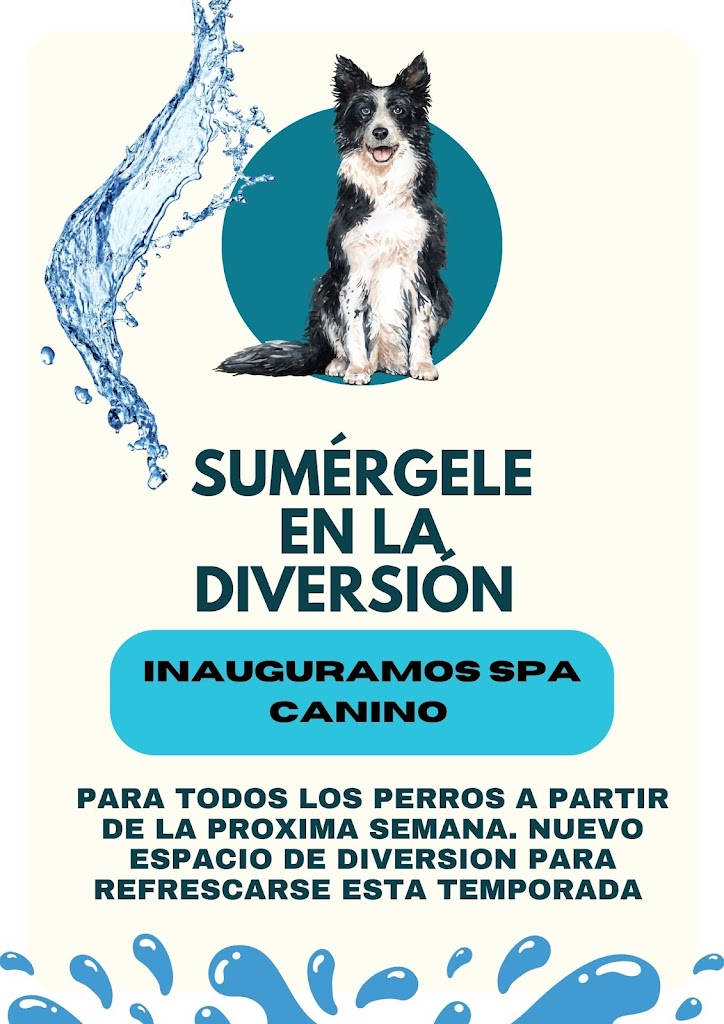 Binomio Dog training
