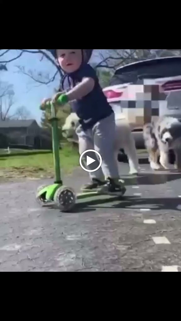  Intensity Training Systems