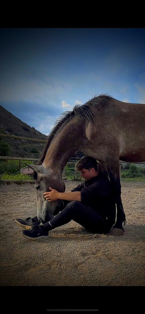 Centre Equestre de Vilaformiu