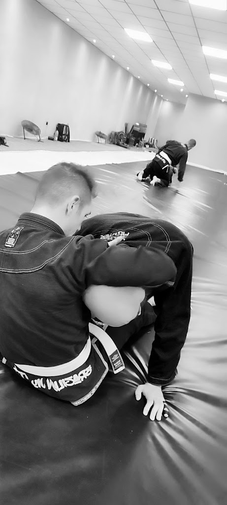 AAM-Academia de Artes Marciales — Del propietario