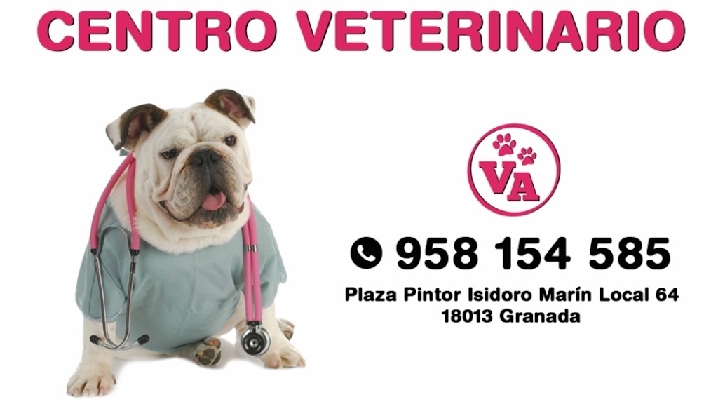 Clinica Veterinaria Vitamin Animal — Del propietario
