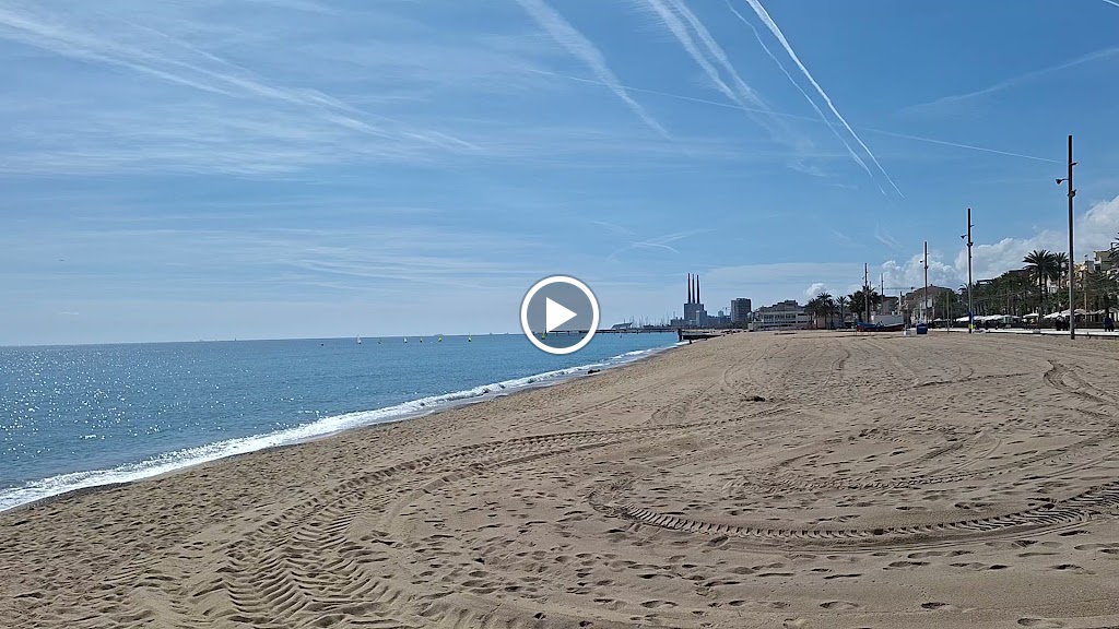 La Moca — Videos