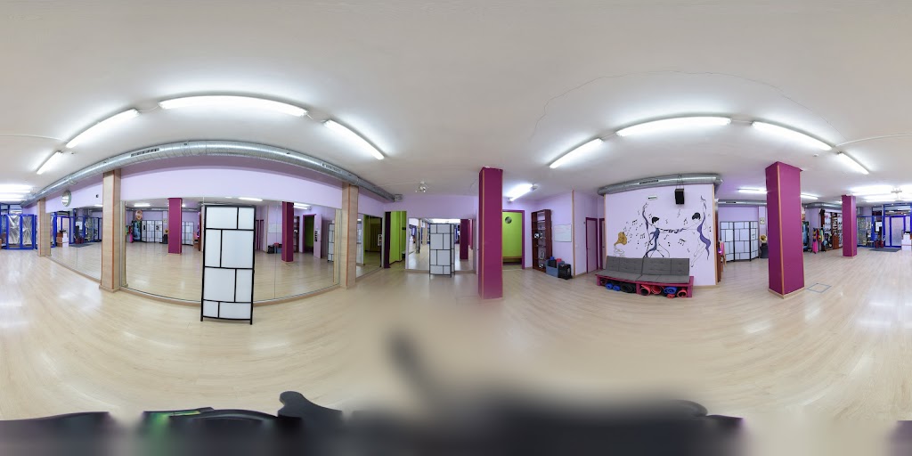 BAILE DE SALON DANCE GM