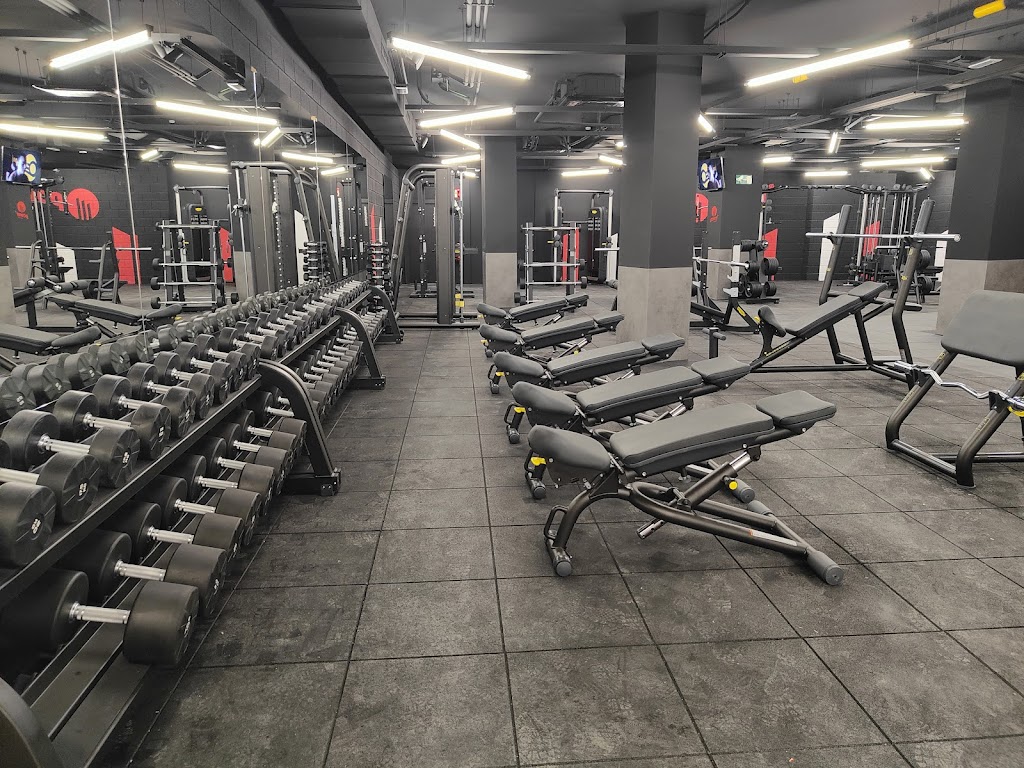 Synergym Logrono Ribera