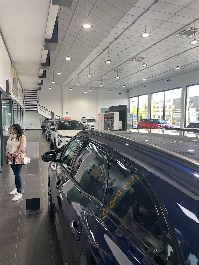 AUTOMENOR (S.PEDRO DEL PINATAR) Dacia — Todas