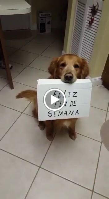 la taberna del valles — Videos