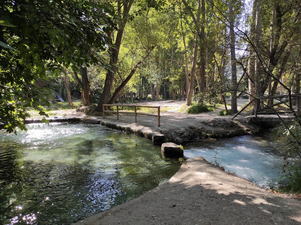 Bosque Encantado de Higueras