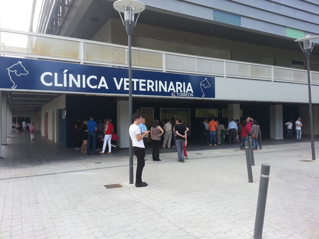Clinica Veterinaria El Torreon — Del propietario