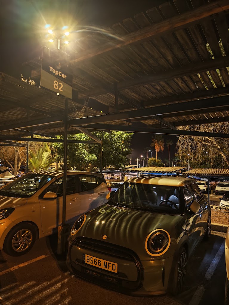 TopCar (Aeropuerto de Tenerife Sur) — Todas