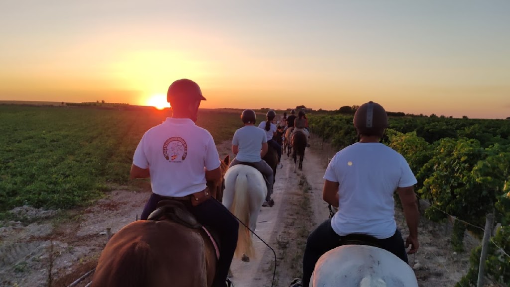 Escuela de equitacion Amigos del Caballo