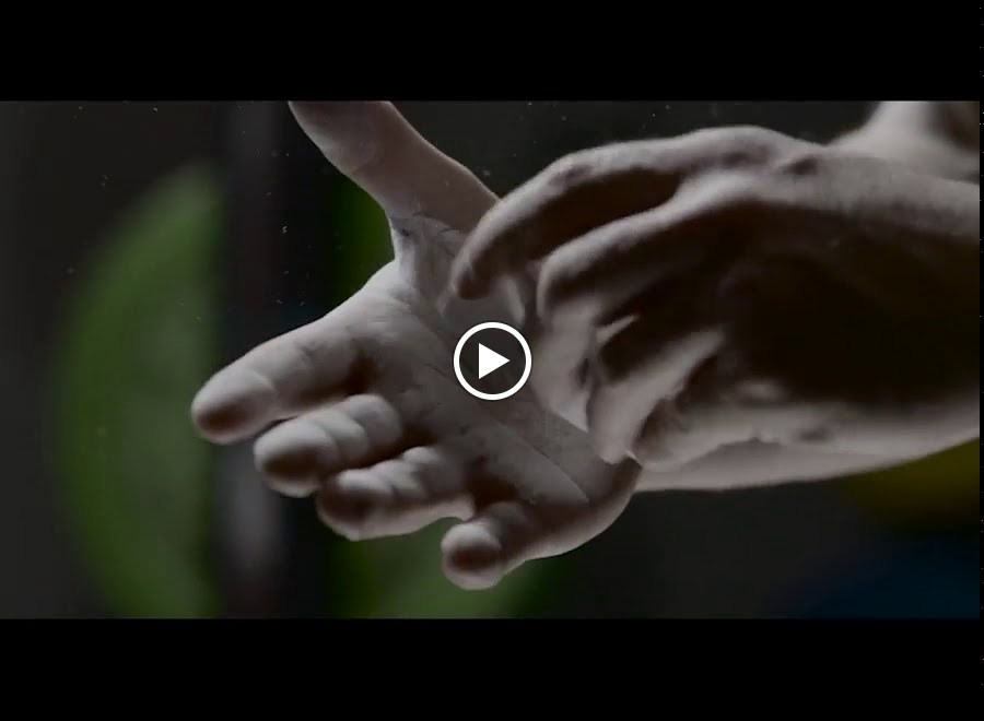  Behavior & Performance Research