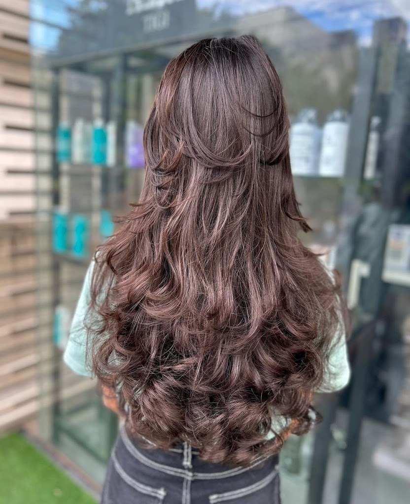 Keshbhusha Keshbhuussaa