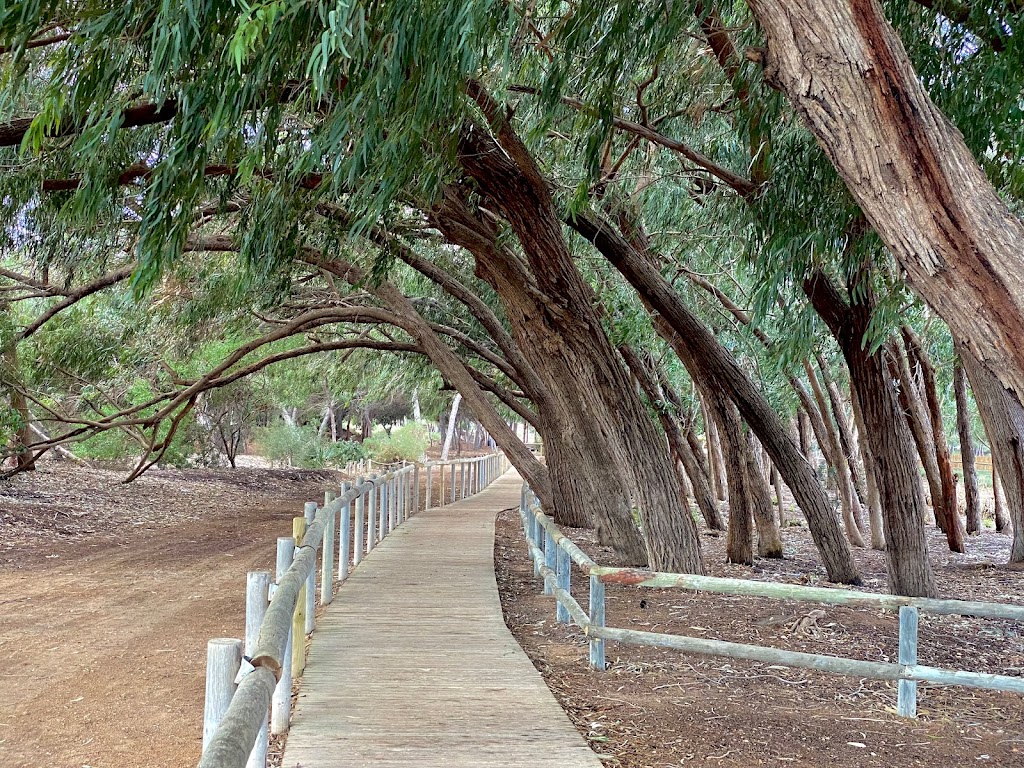 Parque Natural de Las Lagunas de La Mata y Torrevieja