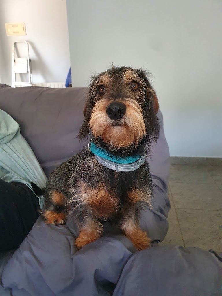 Clinica Veterinaria Veterval