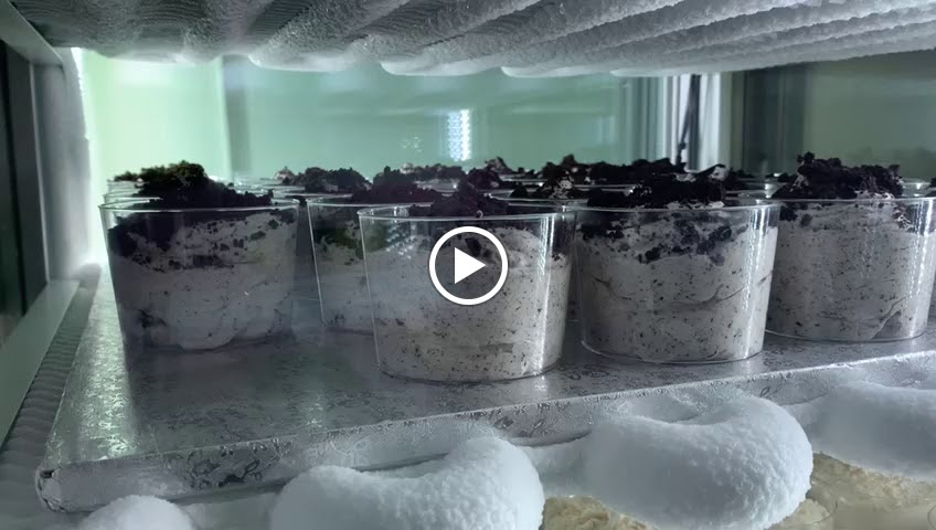 La Gelateria - Heladeria Artesanal Italiana — Videos