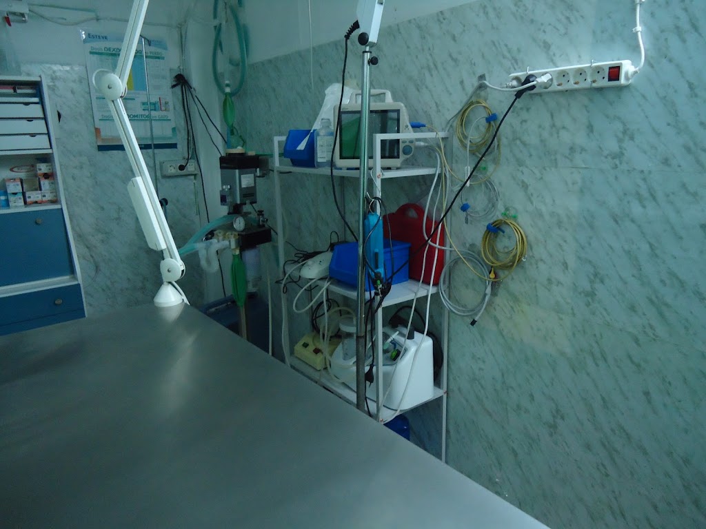 Consulta Veterinaria Guia de Isora — Del propietario