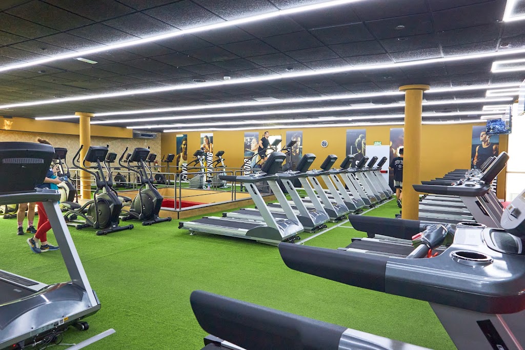 Gimnasio Bull Fitness