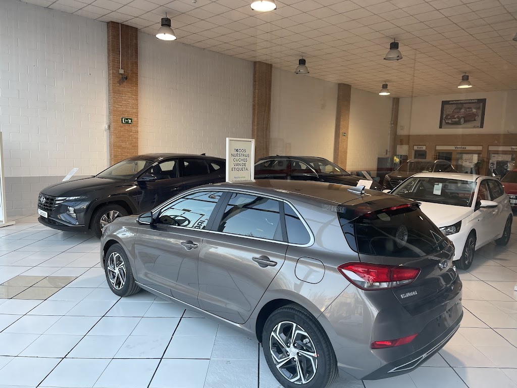 HYUNDAI LINARES (punto de venta) — Del propietario