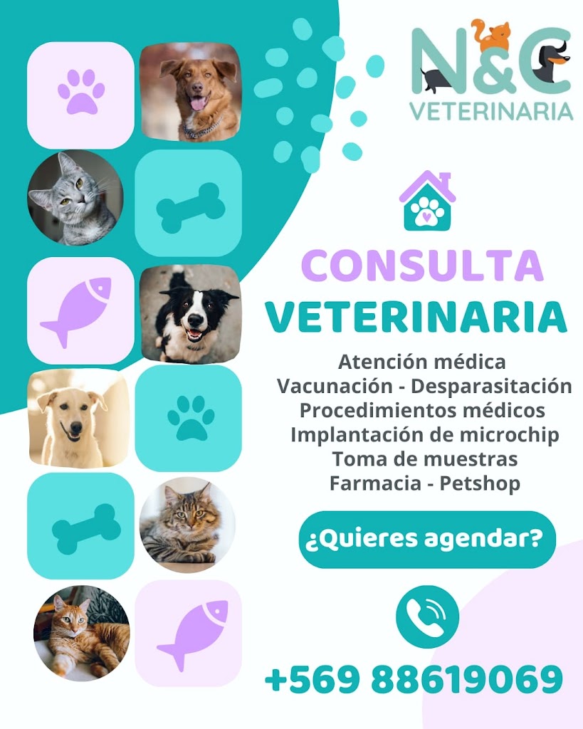Perro