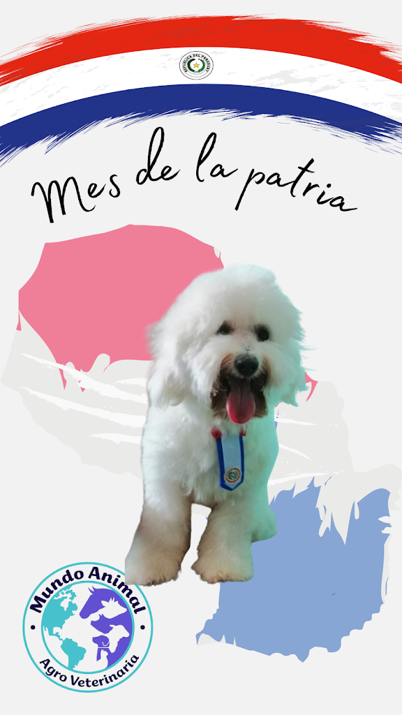 Perro