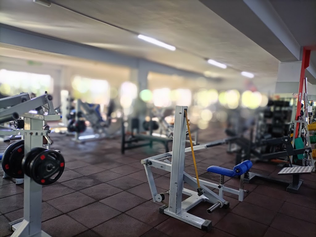 Fitness-Place Santander