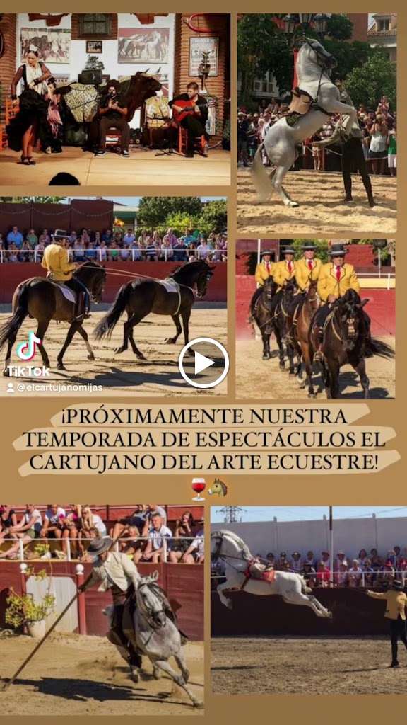 El Cartujano Mijas — Del propietario