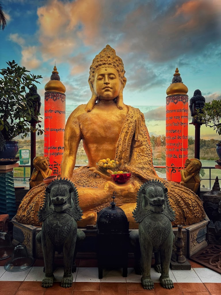 Samsara — Mas recientes
