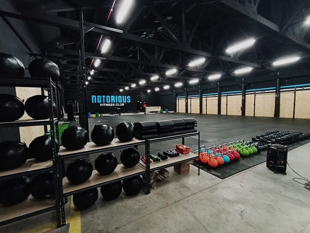 Notorious Fitness Club