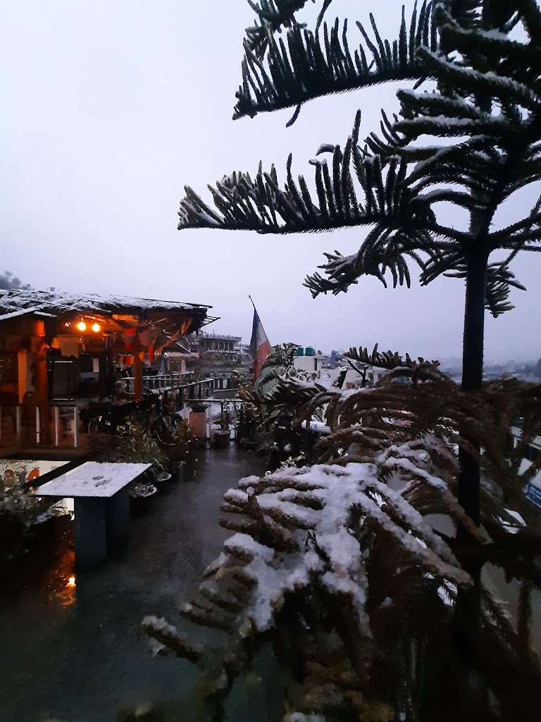 Hipostel Pithoragarh Cafe Morrison